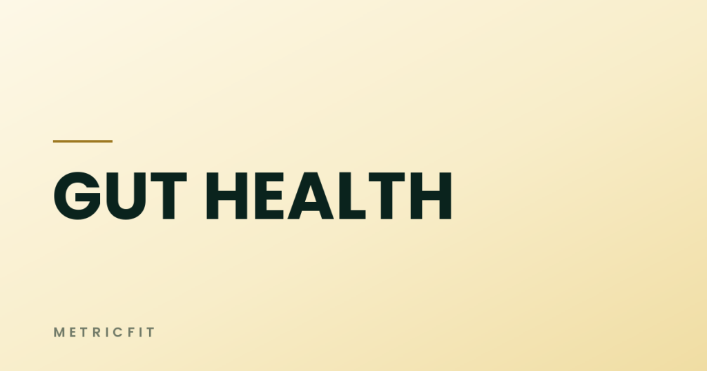 Gut Health First: Why Absorption Is the First Gate
